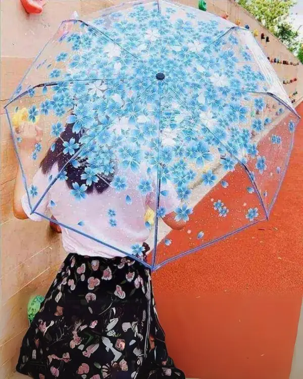 সাকুরা ট্রান্সপারেন্ট ছাতা ফ্লাওয়ার ডিজাইনে  – 4 টি ইউনিক কালারে | Best Umbrella 2025 - Image 2